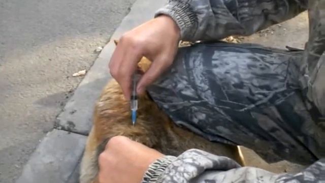 CIMG4517 смотреть онлайн