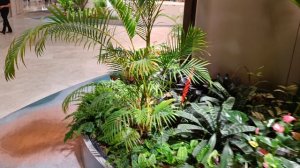 Аэропорт Сингапура