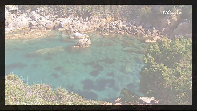 Спокойная природа I Звуки природы I Релаксация I Медитация смотреть онлайн