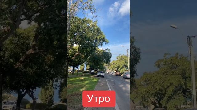 Утро Израиль хайфа 7 октября смотреть онлайн