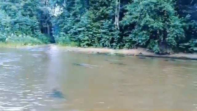 Toyota Rav4 Offroad бездорожье, тойота рав 4 переплываем реку