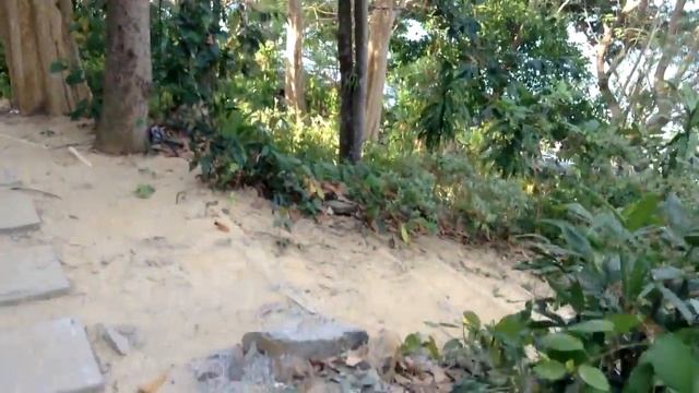 Таиланд Пхи Пхи Дон Отель Viking февраль 2018 год смотреть онлайн