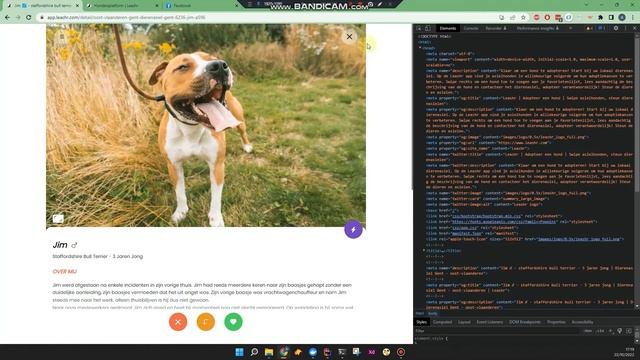 Meta Tags for SEO in Blazor WASM C# .NET, effective? смотреть онлайн