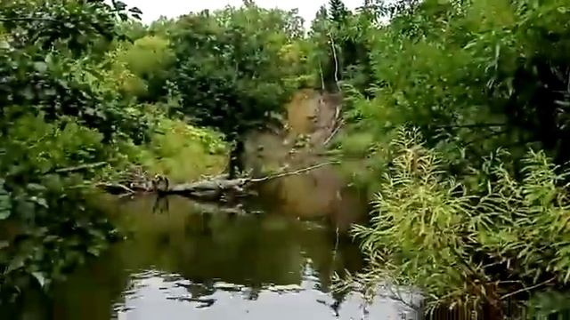 Начало осенней охоты на зверя 2020г. смотреть онлайн