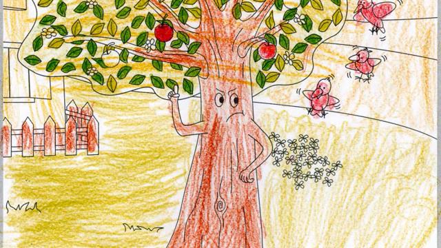 Viejo árbol 4º смотреть онлайн