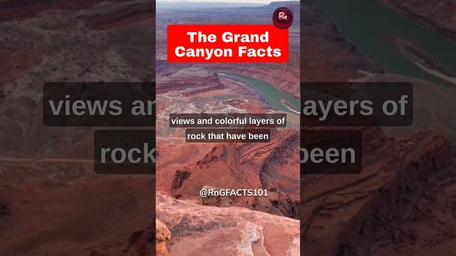grand canyon facts #facts #random #america #grandcanyon #landscape #shortvideo #short #geography смотреть онлайн