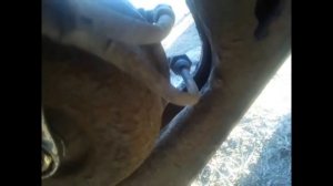 как снять ступицу с оси saf