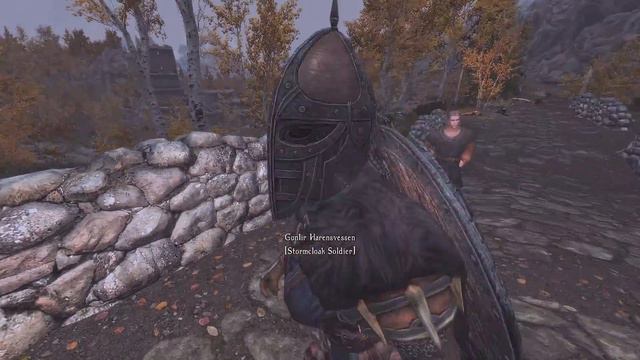 Skyrim: REBORN ~ Mod Playthroughs ~ Forgotten Dungeons and Be With Healer ~ 01 смотреть онлайн
