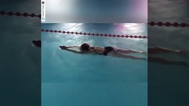 Зебра Проспект Вернадского Бассейн смотреть онлайн