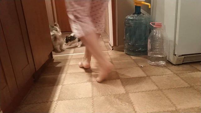 Щенячьи бега смотреть онлайн