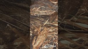 Изготовление костюма Лешего для охоты