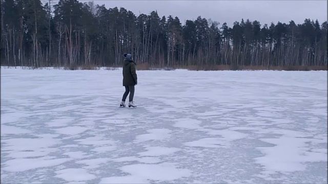 Фигурное катание в лесу... (Enya "Fairytale") смотреть онлайн