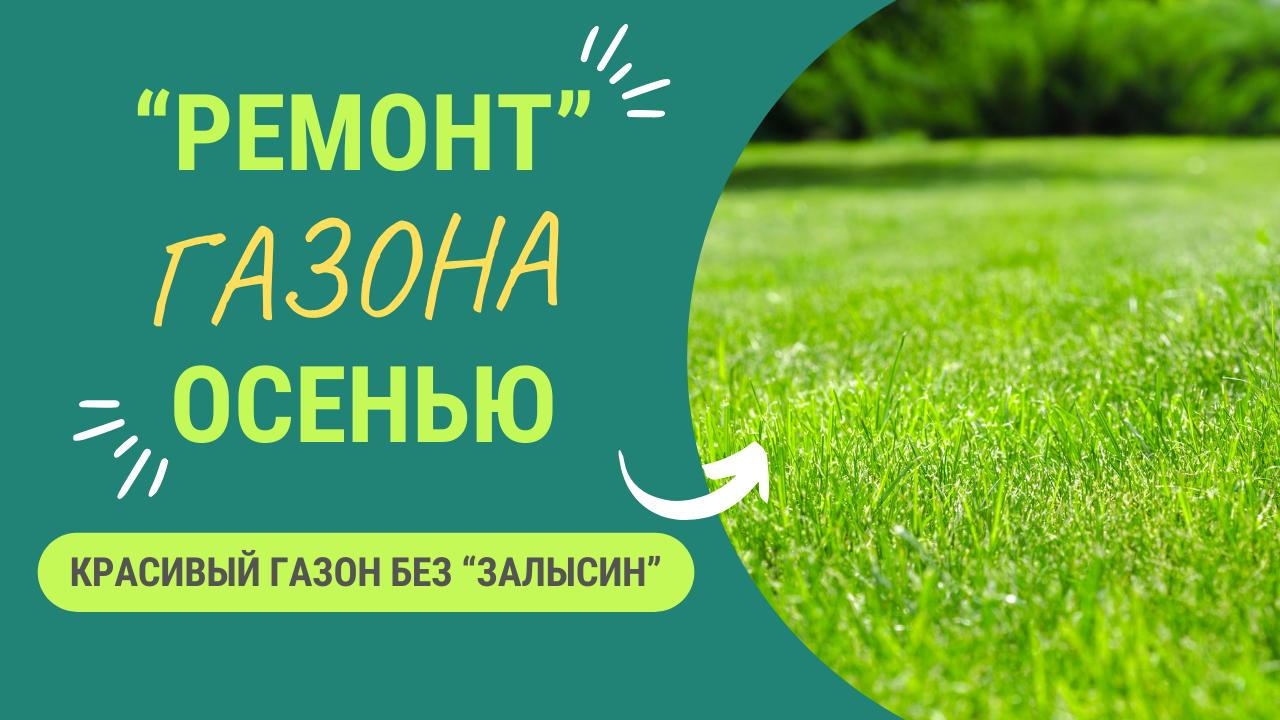 “РЕМОНТ” ГАЗОНА ОСЕНЬЮ смотреть онлайн