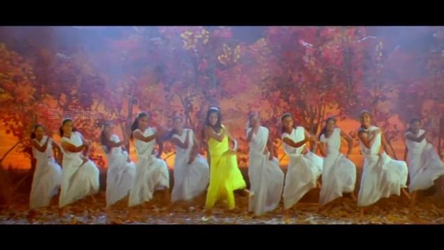 Drona Movie || Vennela Vaana Video Song || Nitin, Priyamani смотреть онлайн