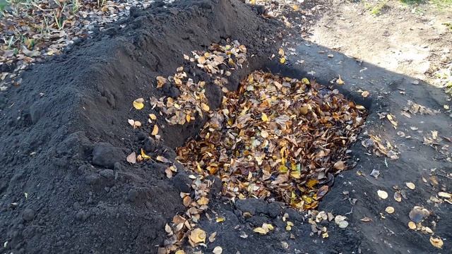 Что делать с опавшими листьями? Утилизация листьев. смотреть онлайн