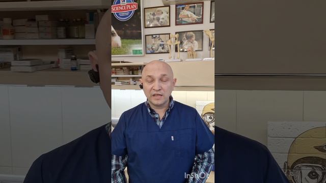 Я не давала ваши таблетки которые вы нам назначили потому что это химия, я давала траву зверобой смотреть онлайн