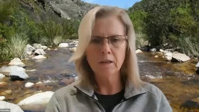 FBIS Training Session 5 - SASS Dashboards смотреть онлайн