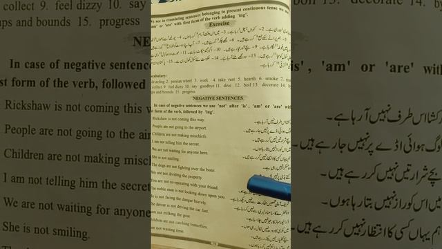 Negative sentences of present continious tense||tenses@zoya5577 смотреть онлайн
