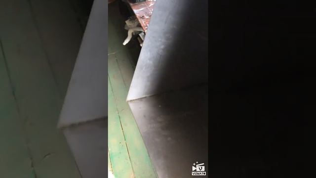 Собираю фаршемес часть 2 смотреть онлайн