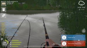 Фарм плотвы на Суре • Русская рыбалка 4 • Ловля фидером