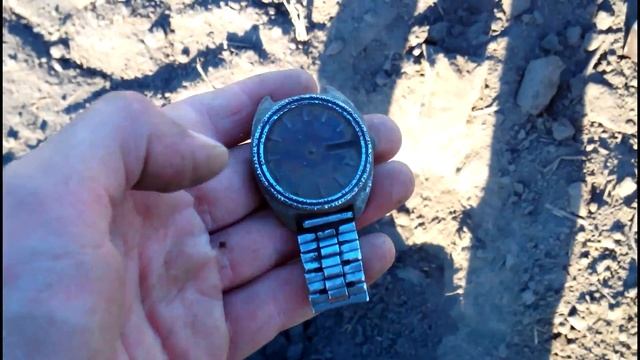 #Коп.Лето 2017.Свисток РИА.  Summer, Search With A Metal Detector