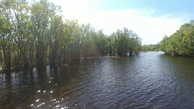 Прогулка на SUP доске. смотреть онлайн