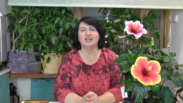 Как бороться с белокрылкой?- видео Ольги Пряниковой смотреть онлайн