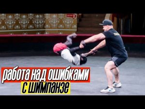 Работа над ошибками после выступления с шимпанзе | Погуляли по фойе Карагандинского цирка