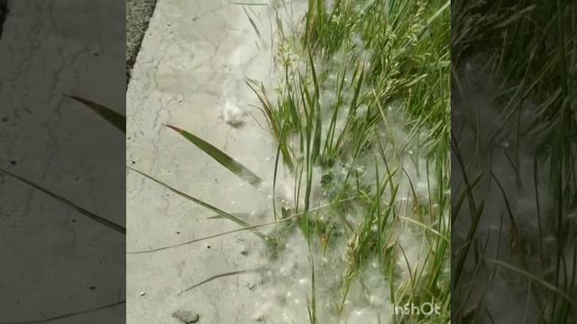 АФФИРМАЦИИ, которые нужно слушать каждый день смотреть онлайн