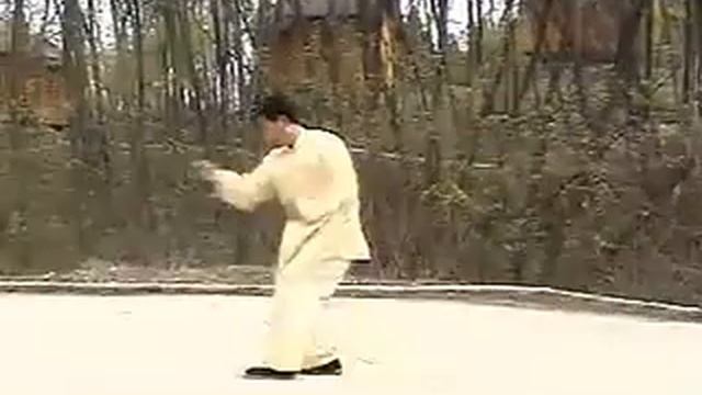 Xing Yi Five Elements seperate Demonstration of all Five Elements смотреть онлайн
