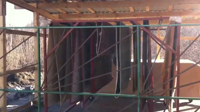 Как охраняются ковры после стирки :-) смотреть онлайн