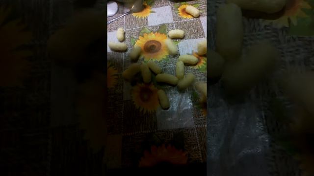 кукурузные палочки смотреть онлайн