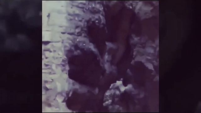 Нагорный Карабах & Азербайджан 10.11.2020 смотреть онлайн