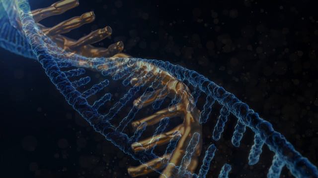 Частота СНЯТИЕ Боли   ИСЦЕЛЕНИЕ Организма   Исцеляющая Медитация