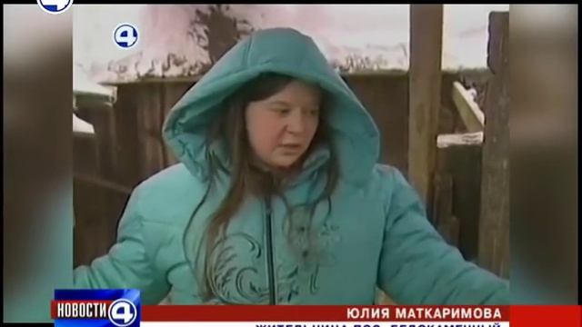 В передержке довели собак до истощения смотреть онлайн