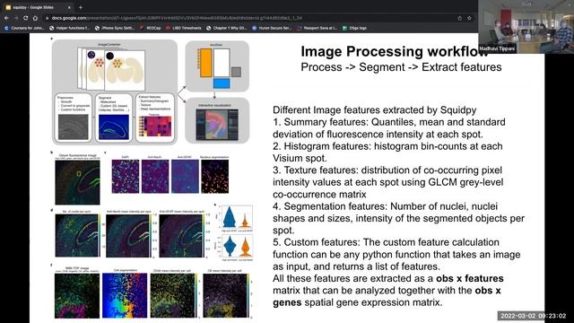 [2022-03-02] Squidpy: a scalable framework for spatial omics analysis смотреть онлайн