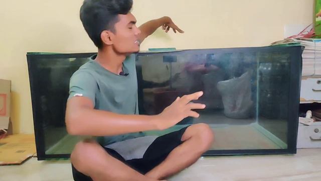 my next monster fish tank is hare смотреть онлайн