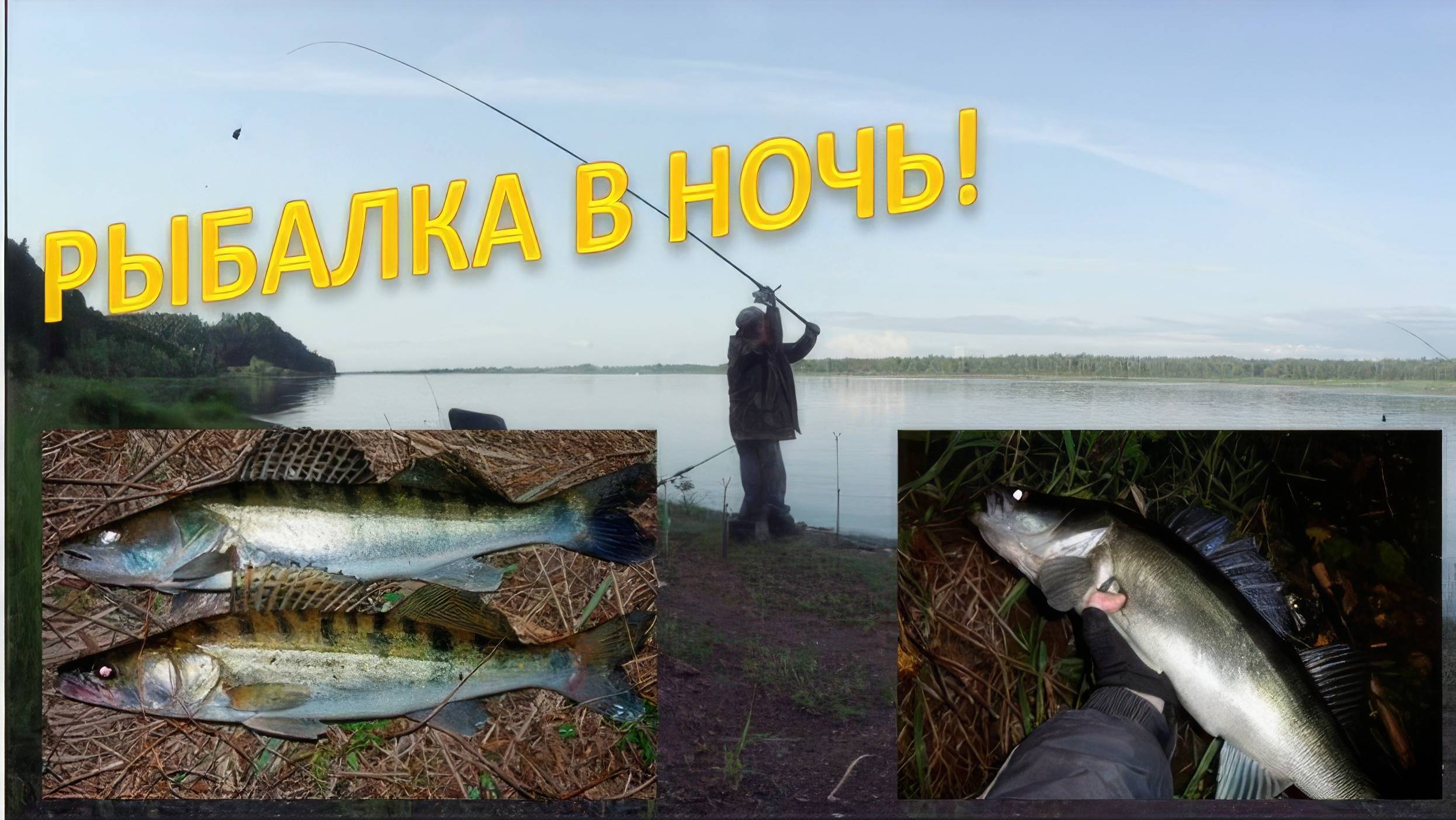 Донки на судака и берша. Рыбалка в ночь! смотреть онлайн