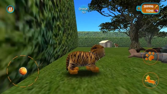 СИМУЛЯТОР КОШКИ #3 Маленький тигренок в кэт сим. Cat Simulator с Кидом на пурумчата смотреть онлайн