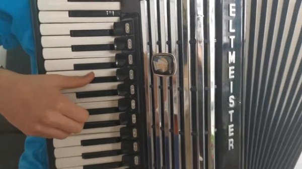 Accordion Weltmeister Consona Semi-Cassotto 120 bass LMMH - Test 1