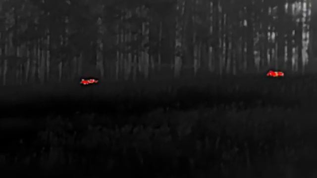 Тепловизор Китайской компании InfiRay Xinfrared T2 Pro. Расстояние до кабанов 150 метров.