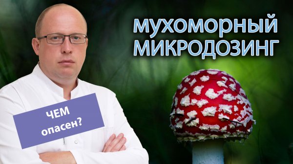 ? Мухоморный микродозинг - чем опасен ?