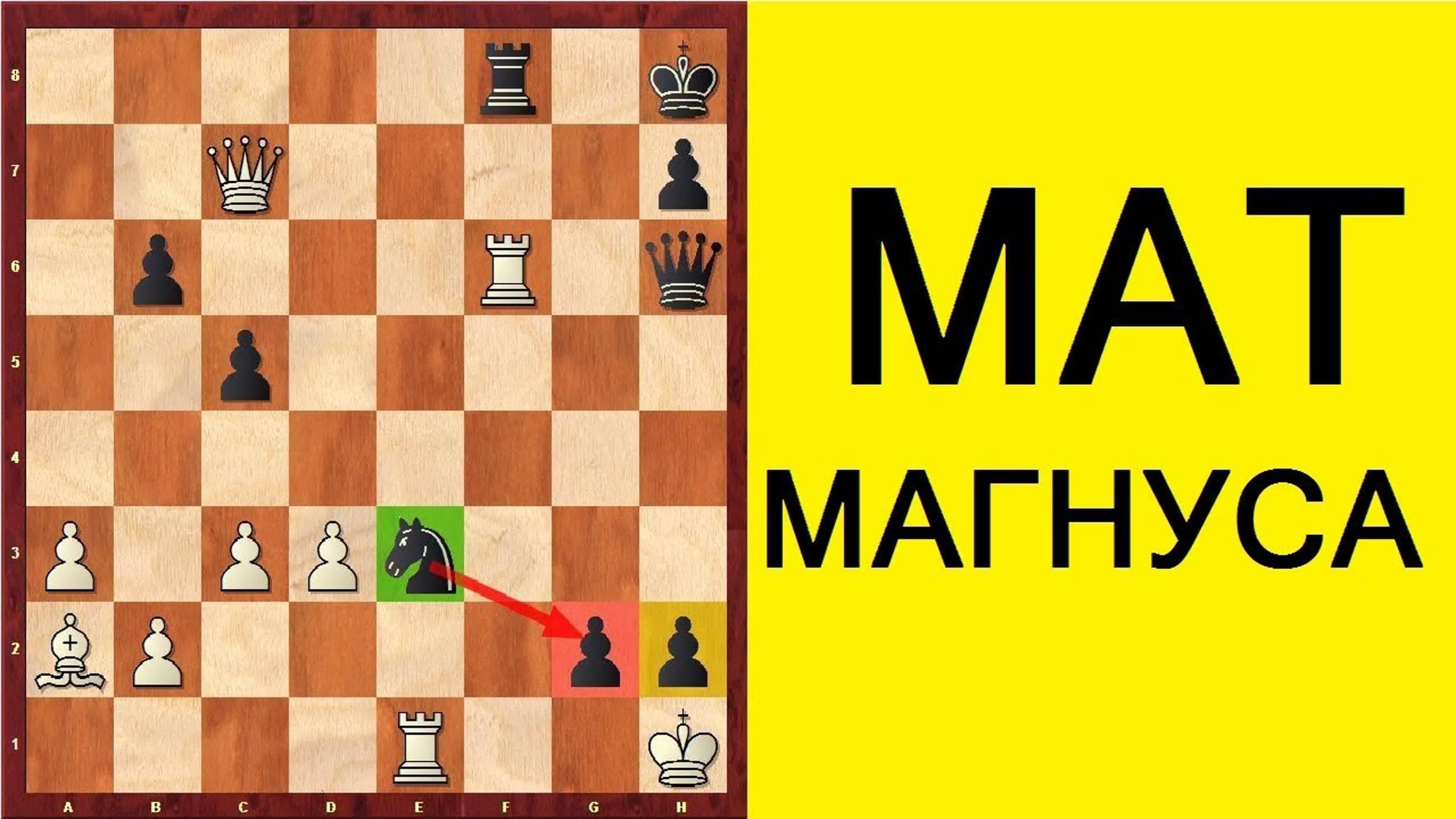 ШАХ И МАТ ЧЕМПИОНУ РОССИИ! Школа шахмат d4-d5. смотреть онлайн