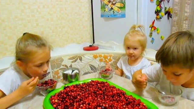 Полезная клюква - Источник витаминов | The Best Natural vitamins for Children | Cranberry смотреть онлайн