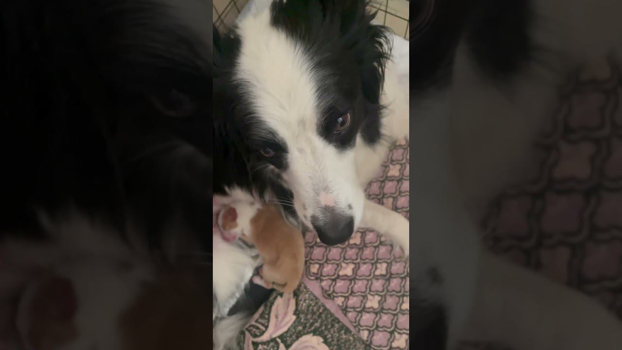 Dr. Dre - тоже классика)