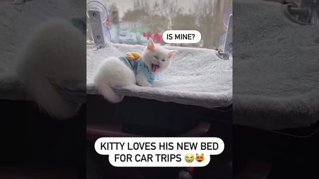 VIP пассажир смотреть онлайн