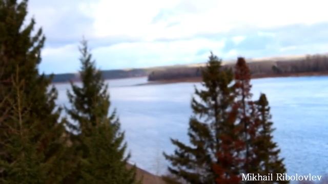 Проба камеры canon 650d смотреть онлайн