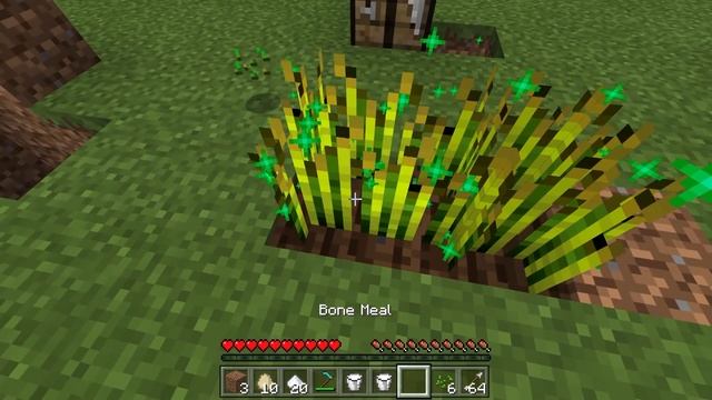 Stampy Cat's Fastest time to make 10 cakes in Minecraft - Guinness World Records смотреть онлайн