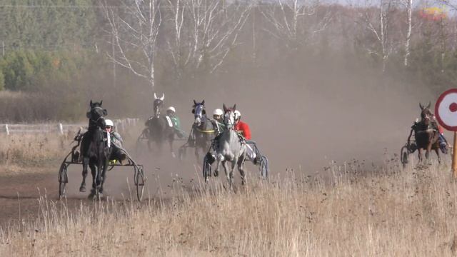 На Дуванском ипподроме закрыли беговой и скаковой сезон 2021 года смотреть онлайн