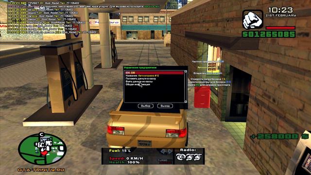 РОЗЫГРЫШ 2-Х МЕСЯЧНОЙ ПРИБЫЛИ СО МОИХ ВСЕХ БИЗНЕСОВ! (GTA SA) Trinity Rp смотреть онлайн